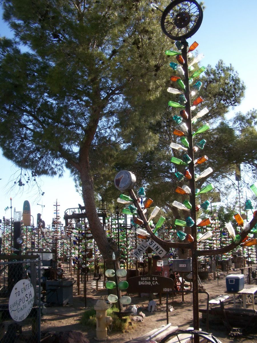 CAA98010.jpg