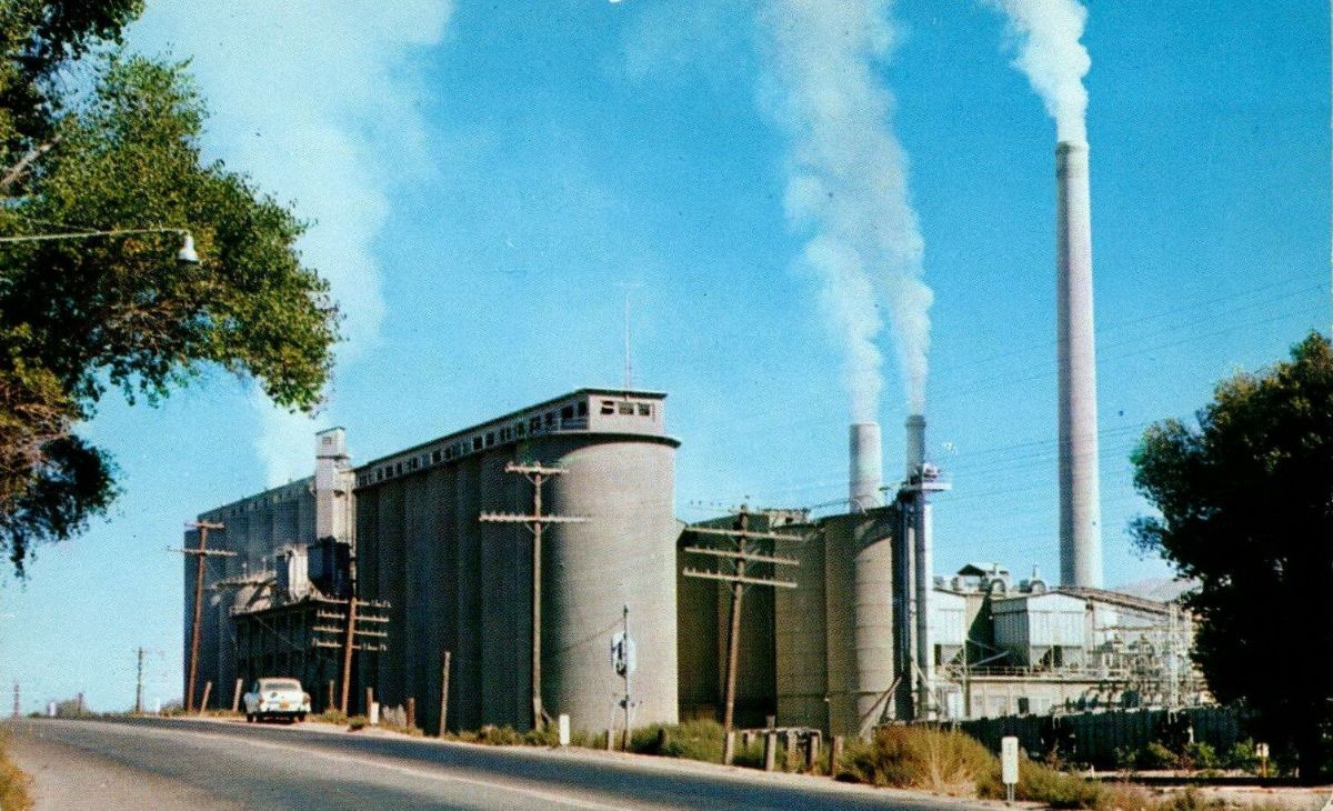 CAC13785.jpg