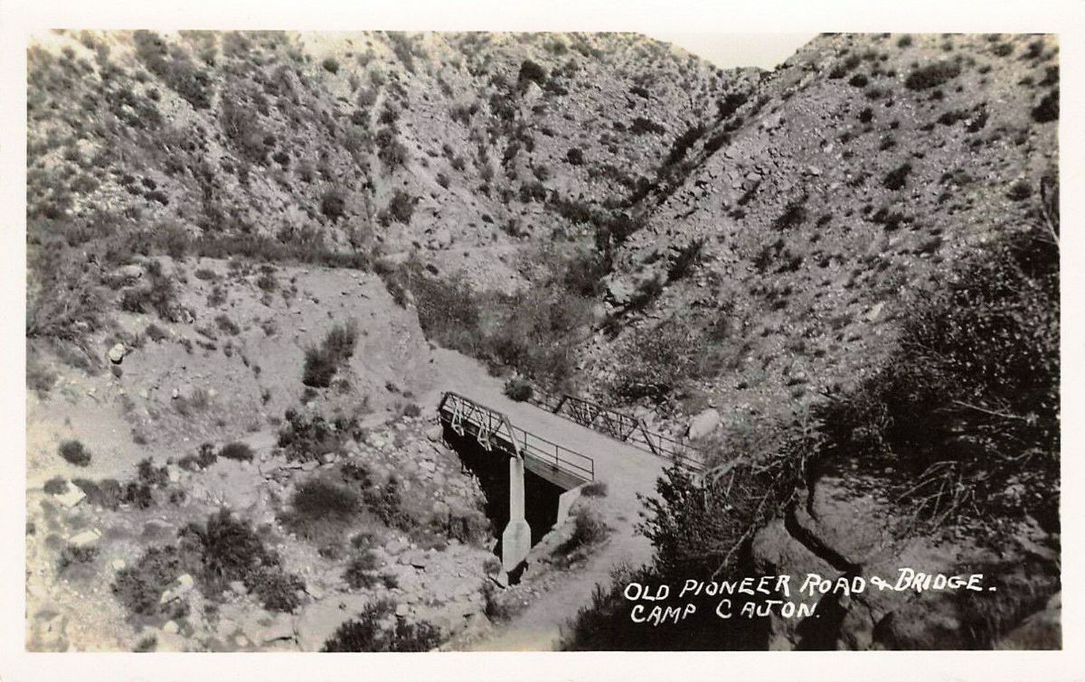 CAC25299.jpg