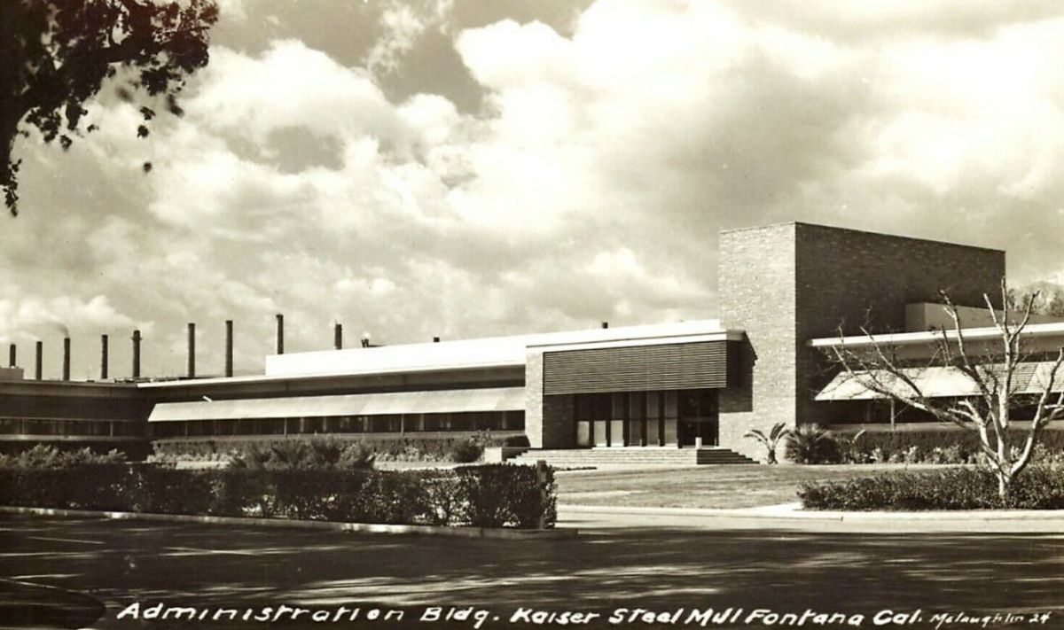 CAC55770.jpg