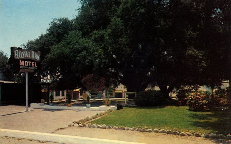 CAC88500.jpg