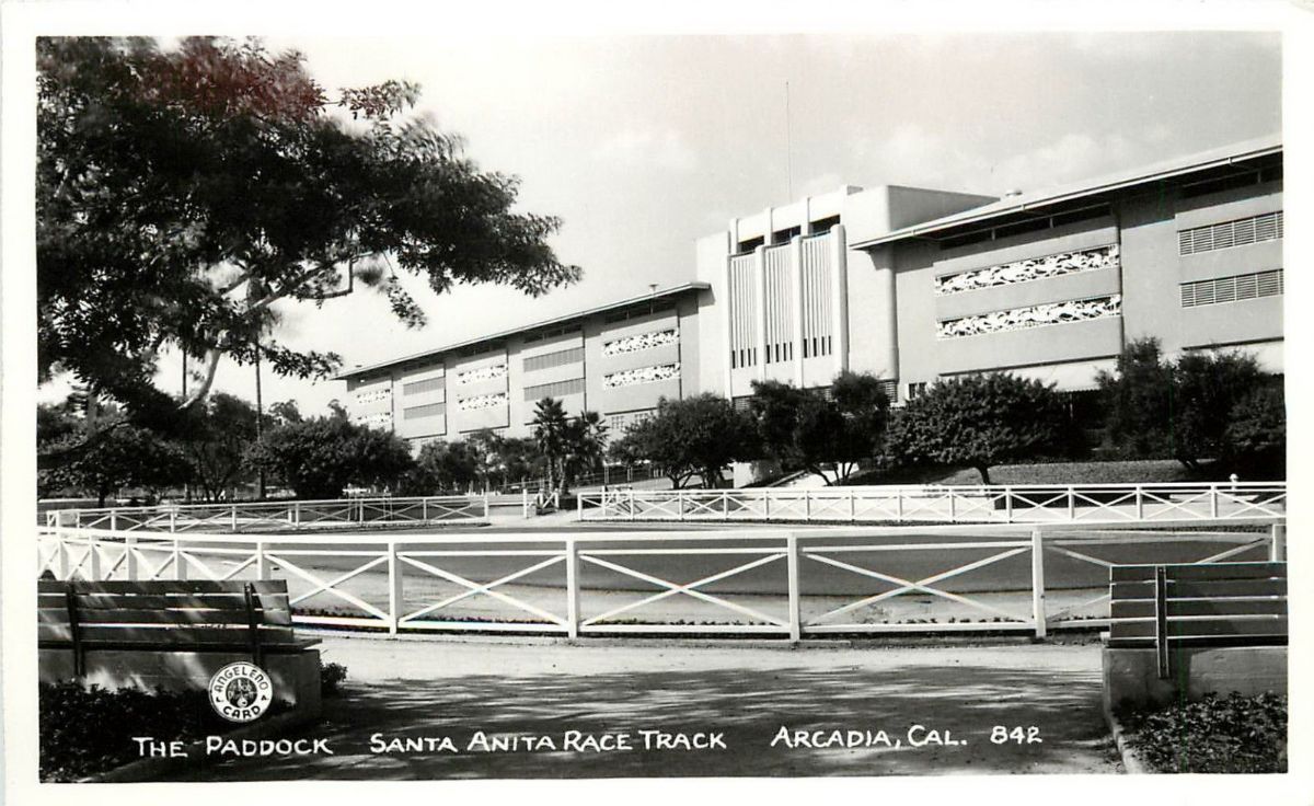CAF21000.jpg