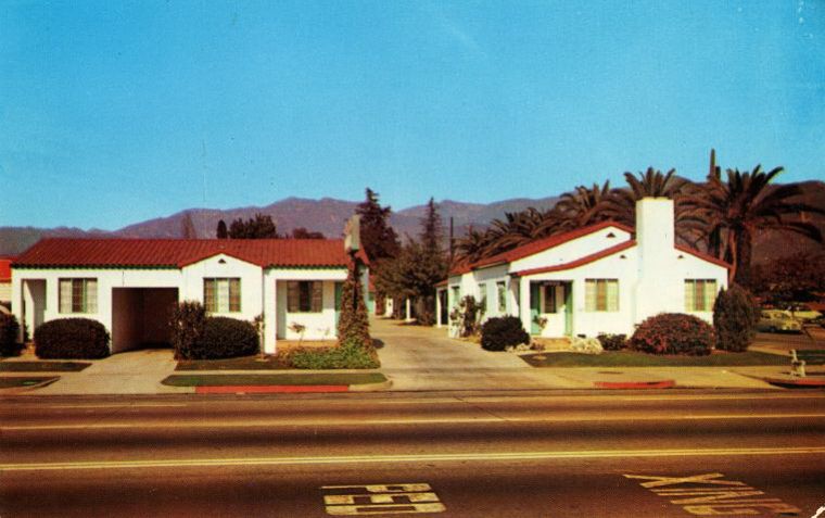 CAF33750.jpg
