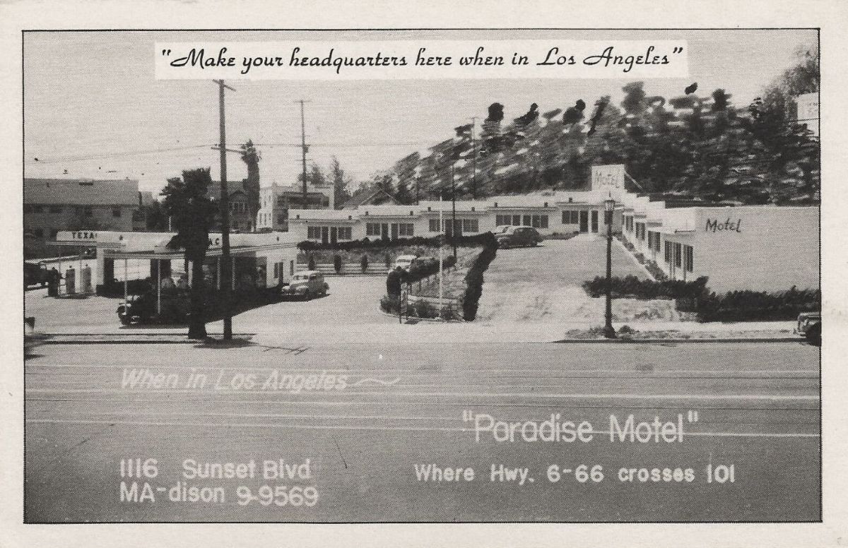 CAF64250.jpg