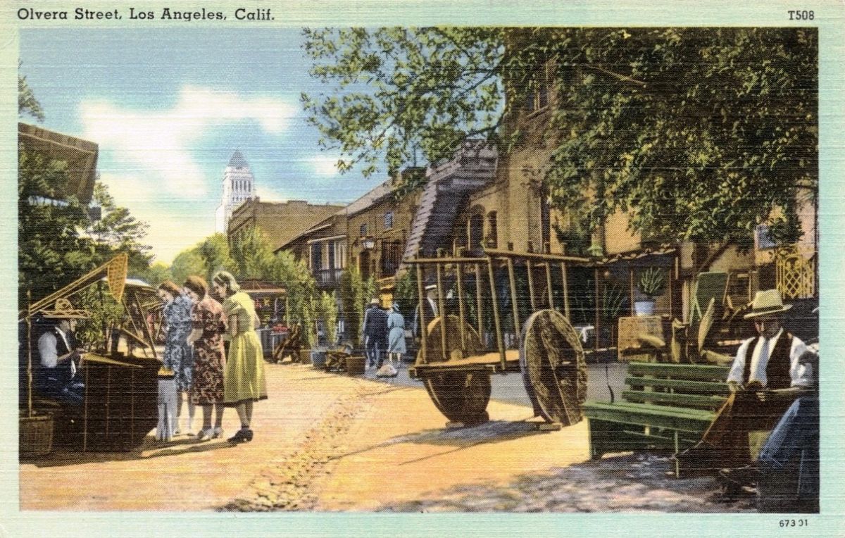 CAF74500.jpg