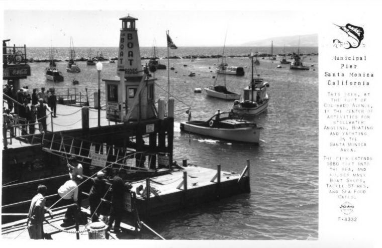 CAF96500.jpg