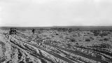 CAA37770.jpg