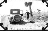 CAA54765.jpg