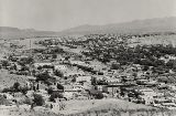 CAA66020.jpg