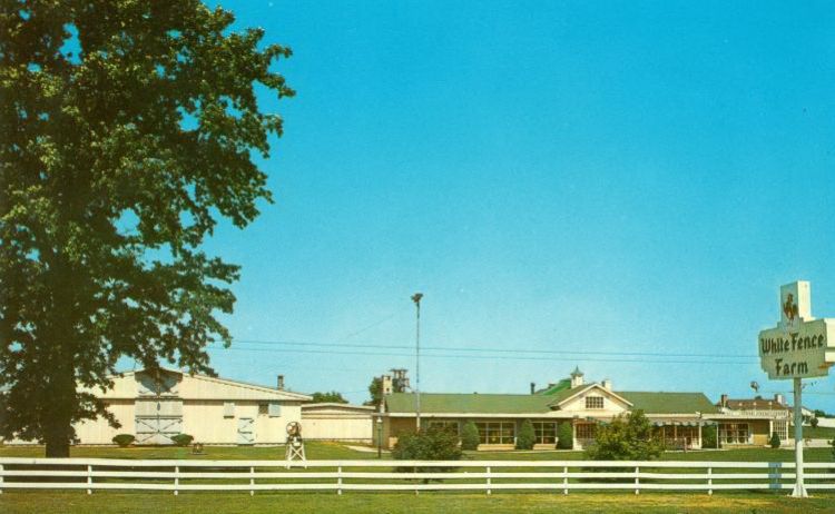 IL011700.jpg