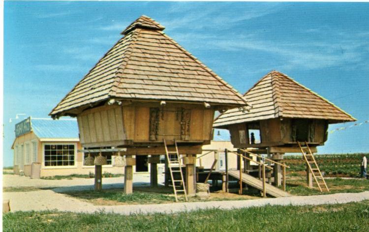 IL033500.jpg