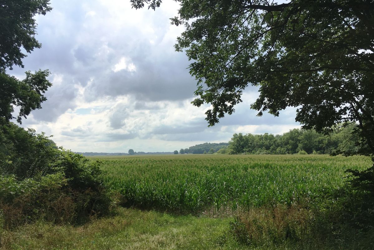 IL046234.jpg