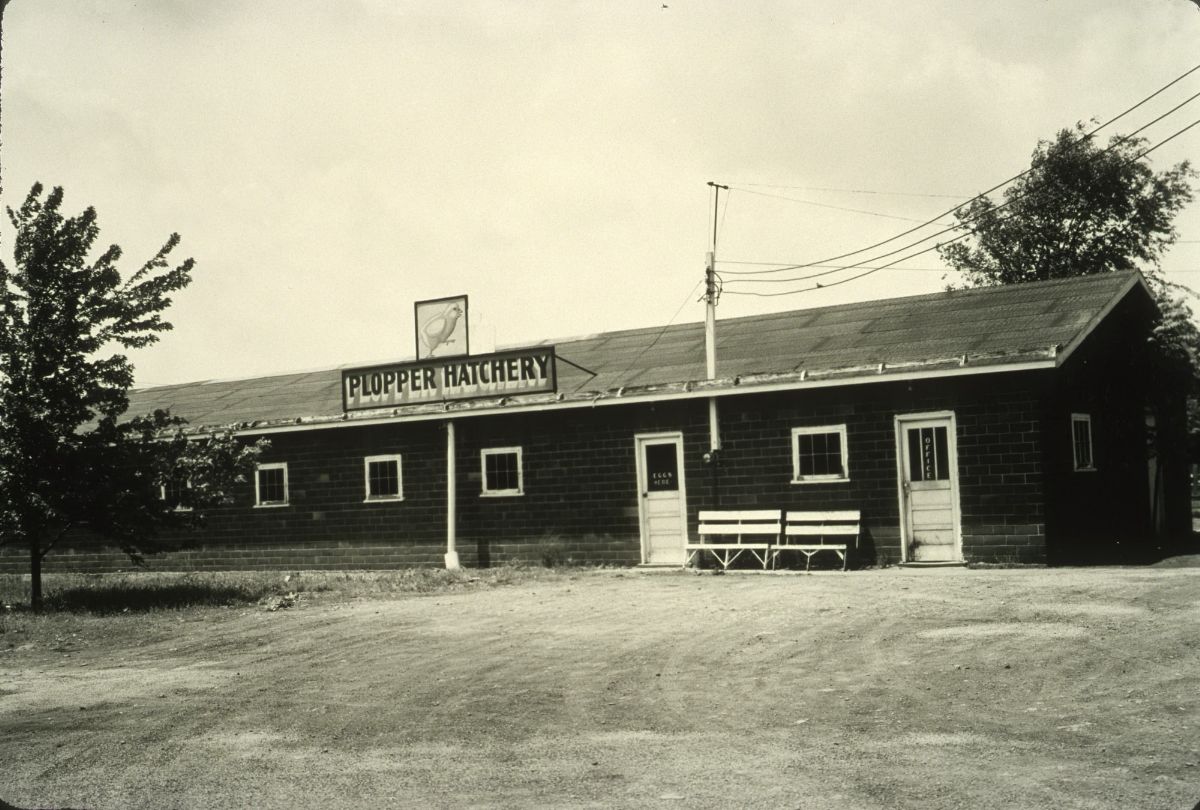 IL078220.jpg