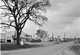 IL035790.jpg
