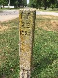IL046233.jpg