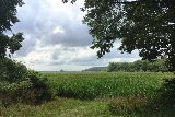 IL046234.jpg