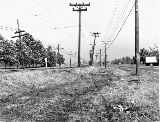 IL096225.jpg