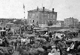 KS051250.jpg
