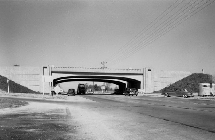 MOE31700.jpg