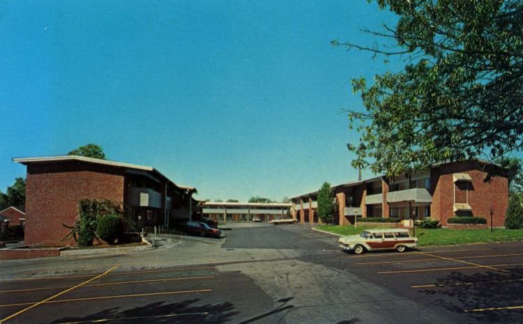MOE34700.jpg