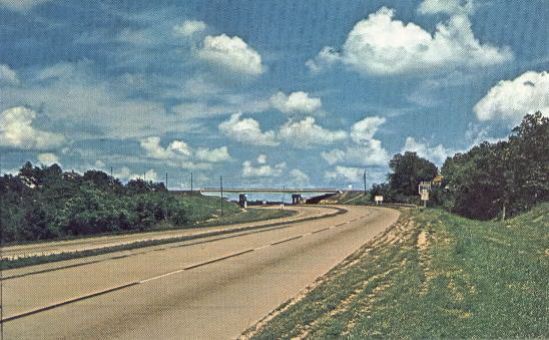 MOL10500.jpg