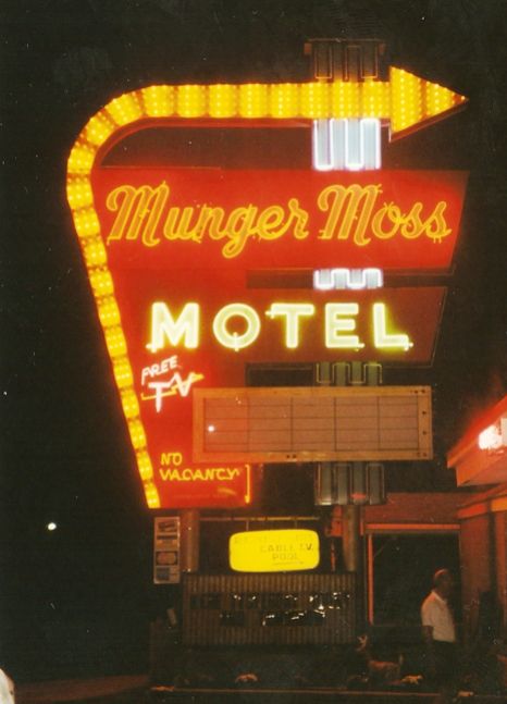 MOP21000.jpg