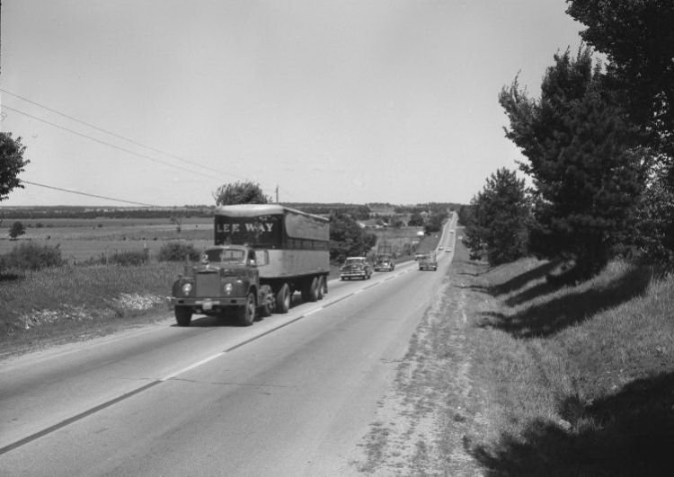MOR84000.jpg
