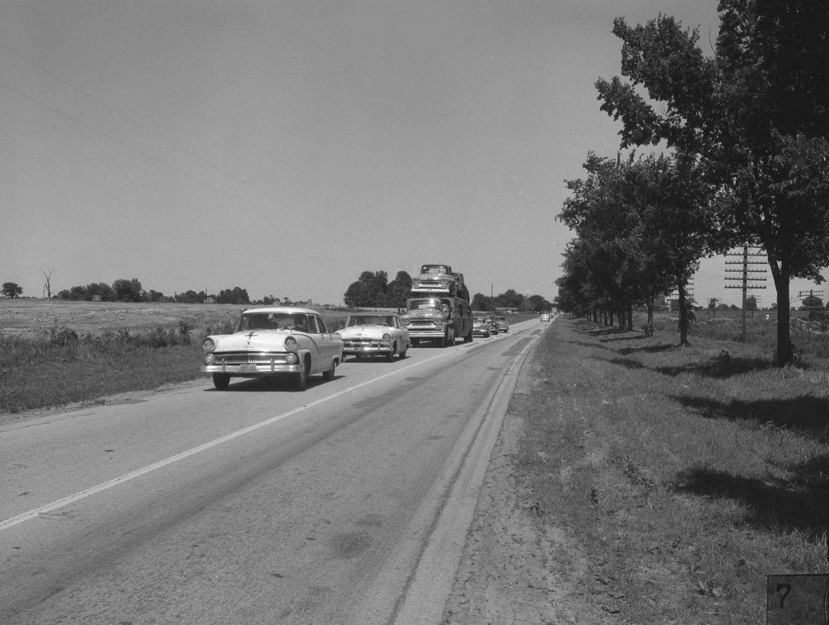 MOR84005.jpg