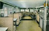 MOY32500.jpg