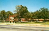 MOY38500.jpg