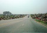 MOY58000.jpg