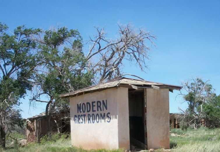 NM003900.jpg