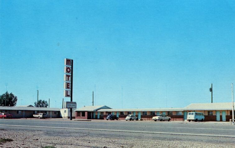 NM004200.jpg