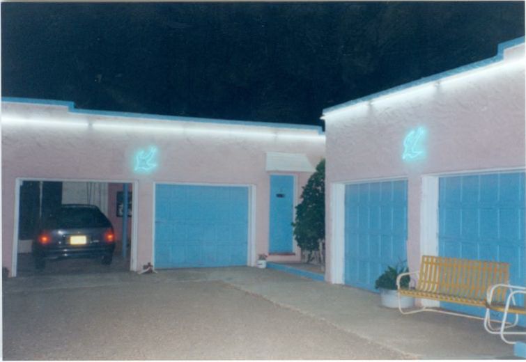 NM006075.jpg