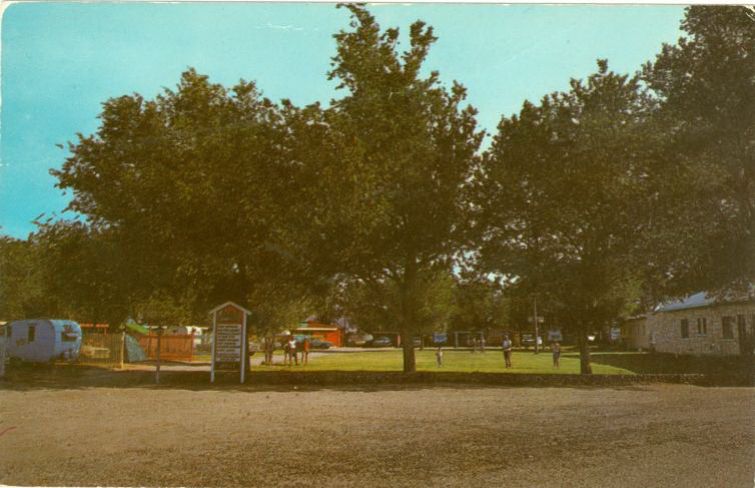 NM006900.jpg