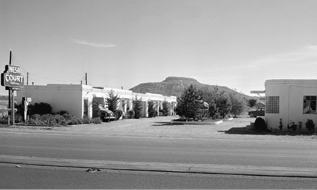 NM007672.jpg