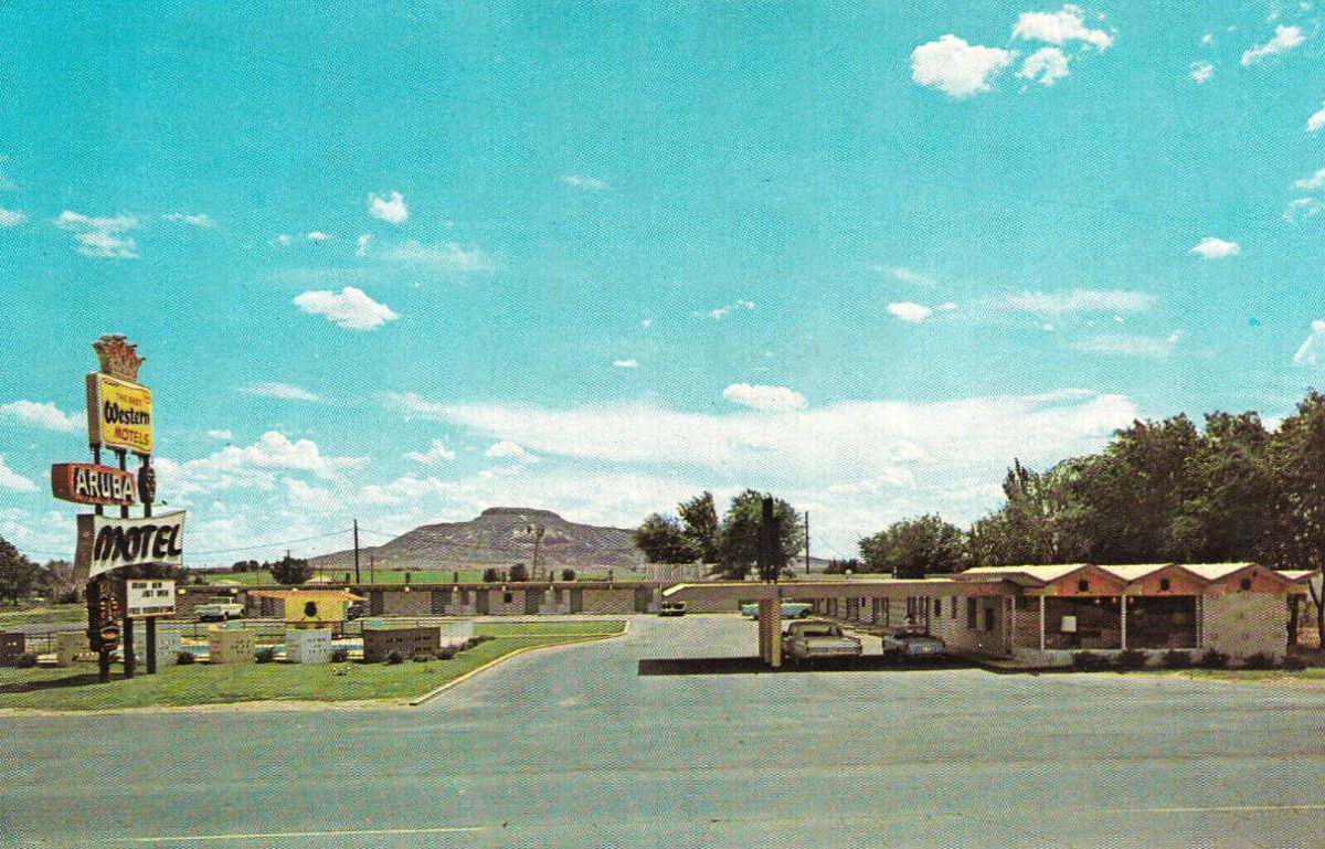 NM007945.jpg
