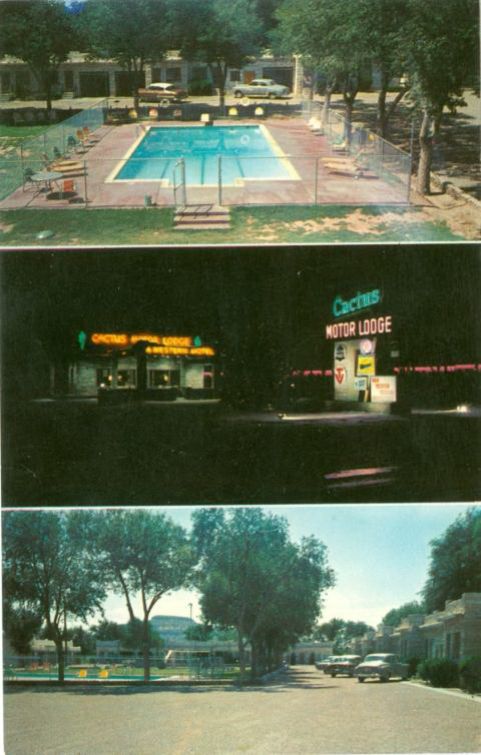 NM008900.jpg