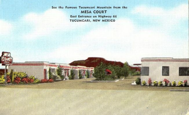 NM009450.jpg