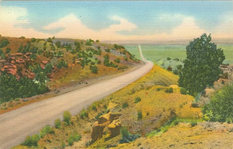NM017225.jpg