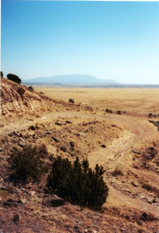 NM029675.jpg