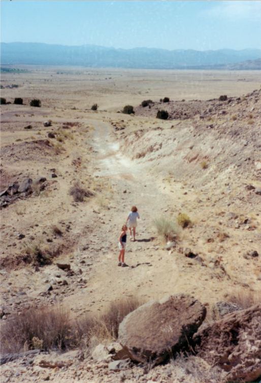 NM029750.jpg