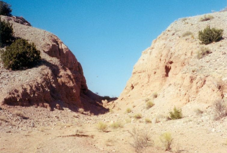 NM030225.jpg