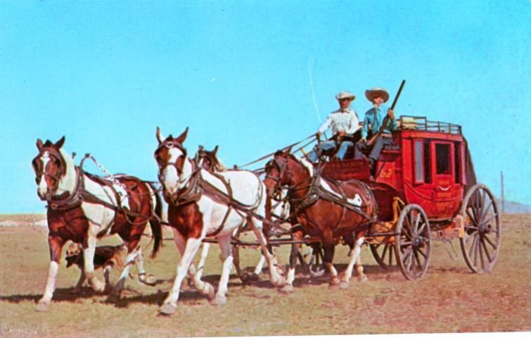NM034225.jpg
