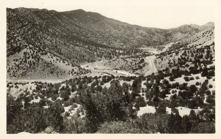NM037450.jpg