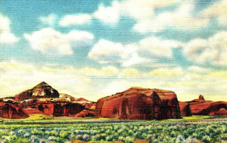 NM085000.jpg