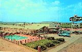 NM005190.jpg