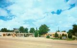 NM005600.jpg