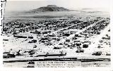 NM013095.jpg