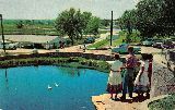 NM019350.jpg
